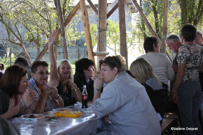 Field Erstein 09 (86).JPG